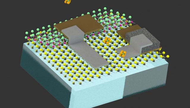 MIT คิดค้นหุ่นยนต์ขนาดเซลล์สำหรับงานตรวจสอบลำไส้ไปจนถึงท่อน้ำมัน