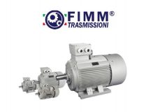 Electric Motor, Induction Motor