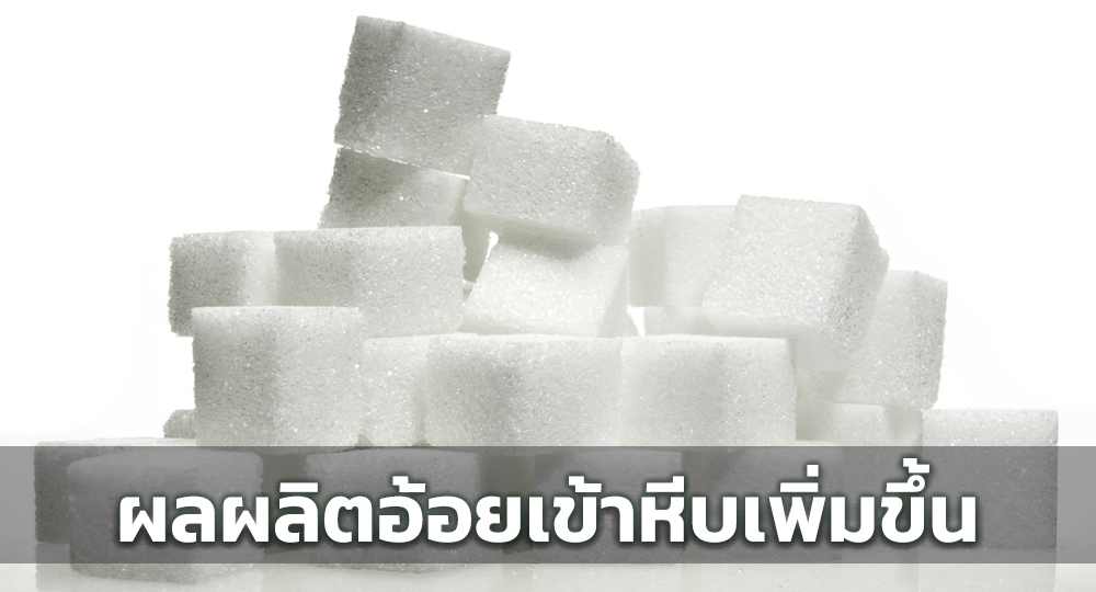 โรงงานน้ำตาลทราย คาดการผลิตอ้อยปีนี้ อยู่ที่ 90 ล้านตันอ้อย
