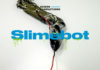 Slimebot หุ่นยนต์สไลม์ที่สามารถทำงานในร่างมนุษย์ได้