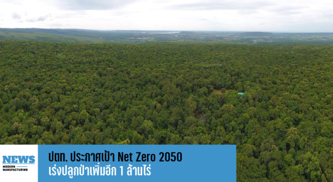 ปตท. ประกาศเป้า Net Zero 2050 เร่งปลูกป่าเพิ่มอีก 1 ล้านไร่