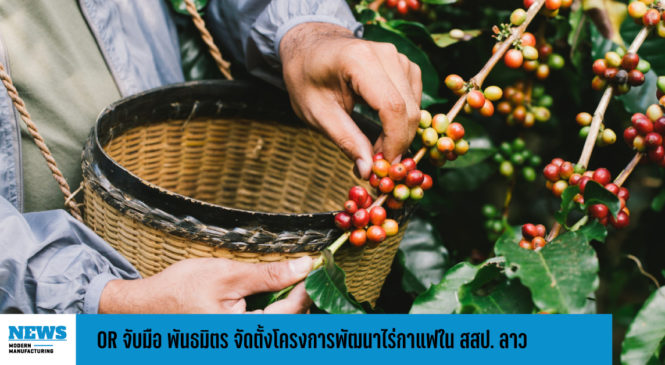 OR  จับมือ พันธมิตร จัดตั้งโครงการใช้ระบบวนเกษตร พัฒนาไร่กาแฟใน สสป. ลาว