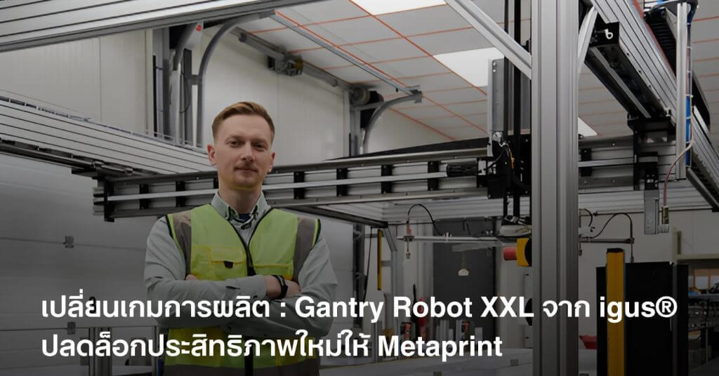Gantry Robot XXL