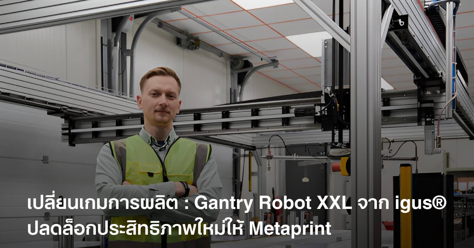 Gantry Robot XXL