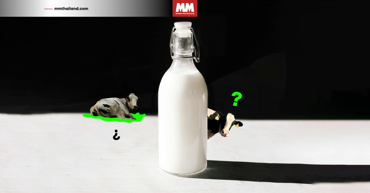 raw milk thailand market milk powder facts